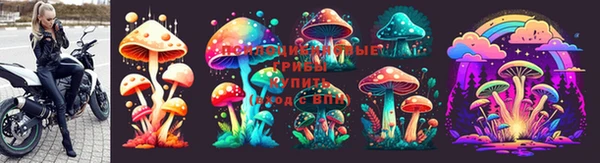 дмт Новокубанск
