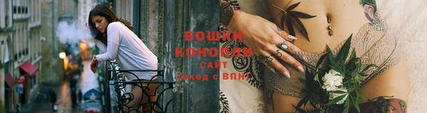 ешки Новозыбков