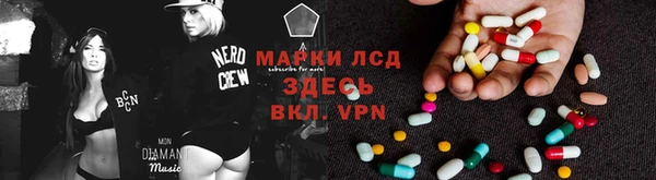 ешки Новозыбков