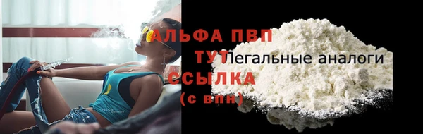 дмт Новокубанск