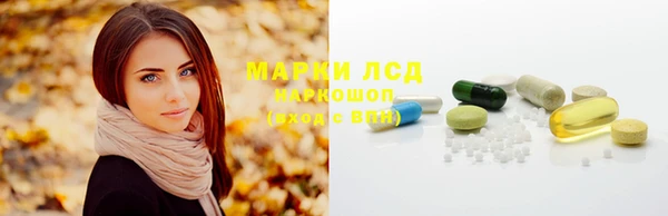 ешки Новозыбков