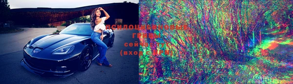 дмт Новокубанск
