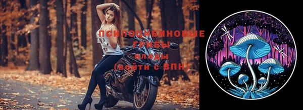 ешки Новозыбков