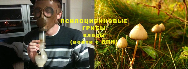 дмт Новокубанск