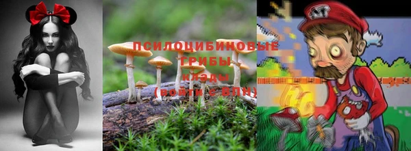 дмт Новокубанск