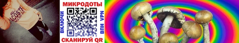 Галлюциногенные грибы MAGIC MUSHROOMS  Приморско-Ахтарск 