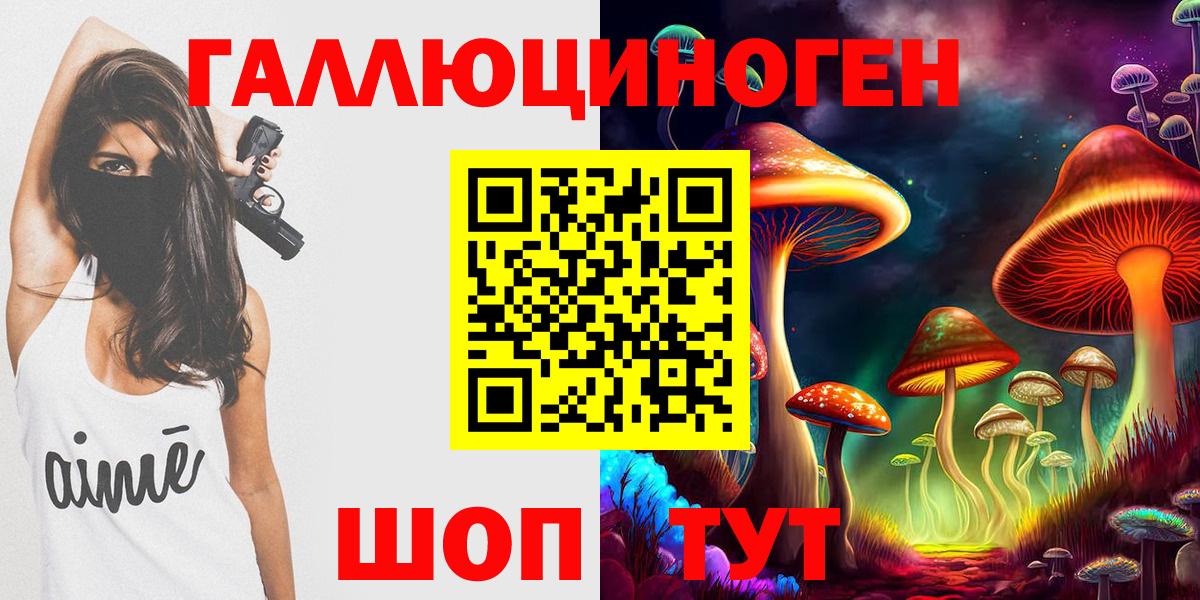 хочу   Галлюциногенные грибы GOLDEN TEACHER  Вход с VPN  Приморско-Ахтарск 
