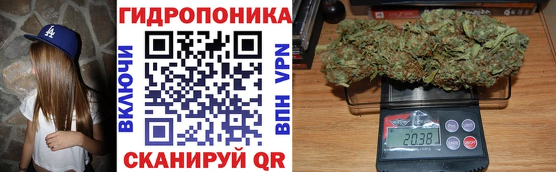 Конопля сатива  закладка  hydra ТОР  Приморско-Ахтарск 